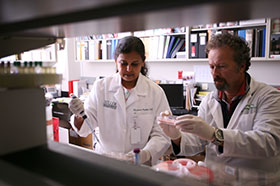 Photo of two scientists working in the lab. Link to Gifts of Real Estate.